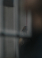 ftwd315_1825.jpg