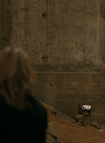 ftwd315_2477.jpg