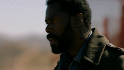 ftwd316_1496.jpg