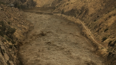 ftwd316_2748.jpg