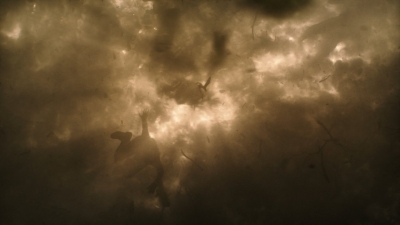 ftwd316_2896.jpg