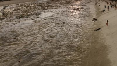 ftwd316_3014.jpg