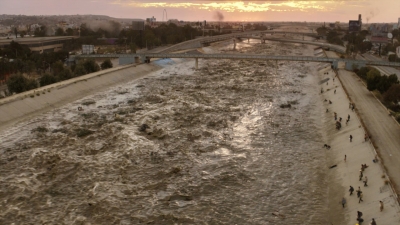 ftwd316_3021.jpg