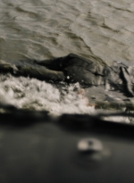 ftwd316_0245.jpg