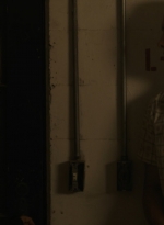 ftwd316_0915.jpg