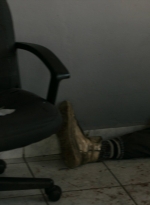ftwd316_1095.jpg