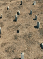 ftwd316_2763.jpg