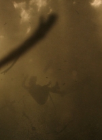 ftwd316_2825.jpg