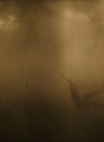 ftwd316_2845.jpg