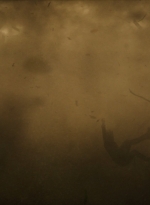 ftwd316_2846.jpg