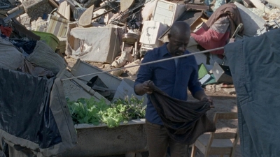 ftwd401_0252.jpg