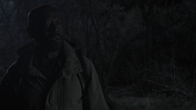 ftwd401_0913.jpg
