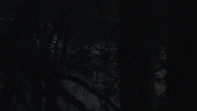 ftwd401_0920.jpg