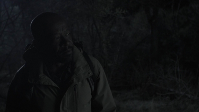 ftwd401_0922.jpg