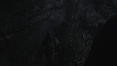 ftwd401_0933.jpg