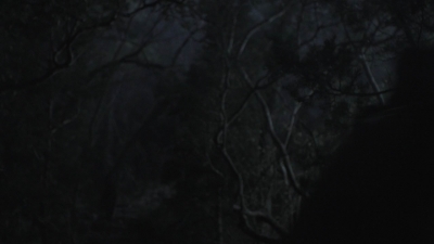 ftwd401_0935.jpg
