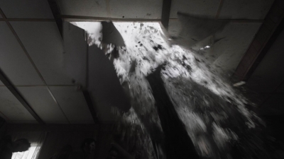 ftwd401_1862.jpg