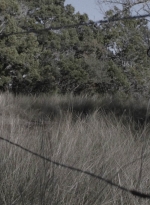 ftwd401_0724.jpg