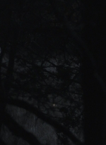 ftwd401_0921.jpg