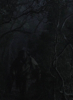 ftwd401_0933.jpg
