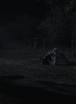 ftwd401_1120.jpg