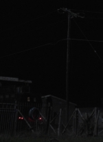 ftwd401_1381.jpg