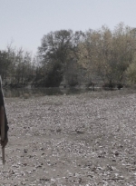 ftwd401_1626.jpg