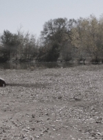 ftwd401_1627.jpg