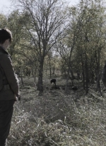 ftwd401_2430.jpg