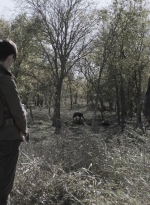 ftwd401_2432.jpg