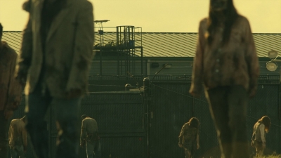 ftwd402_0498.jpg
