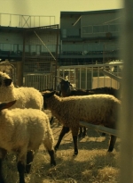 ftwd402_0271.jpg