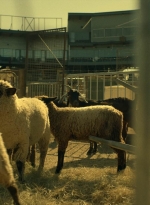 ftwd402_0272.jpg