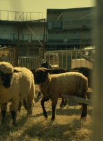 ftwd402_0274.jpg