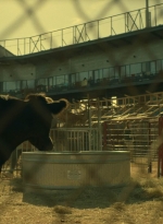 ftwd402_0275.jpg