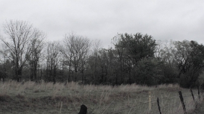 ftwd403_0498.jpg