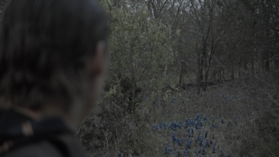 ftwd403_1002.jpg