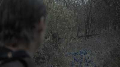 Click to view full size image
==============
ftwd403_1003.jpg ftwd403_1003.jpg