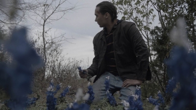 ftwd403_1147.jpg