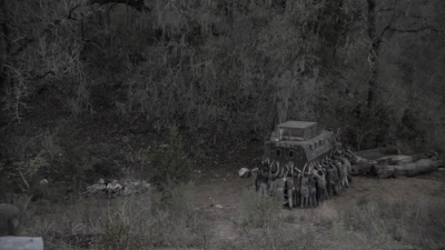 ftwd403_1703.jpg
