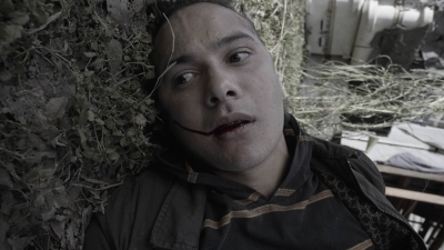 ftwd403_2508.jpg
