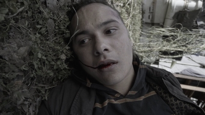 ftwd403_2509.jpg