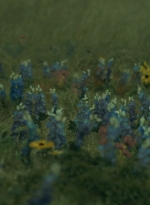 ftwd403_2463.jpg