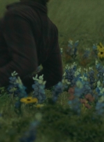 ftwd403_2464.jpg