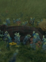 ftwd403_2465.jpg