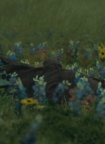 ftwd403_2468.jpg