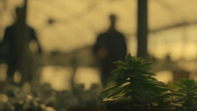ftwd404_0301.jpg