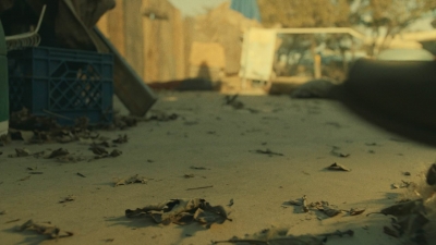ftwd404_0764.jpg