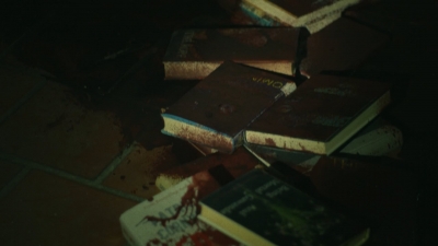 ftwd404_1398.jpg