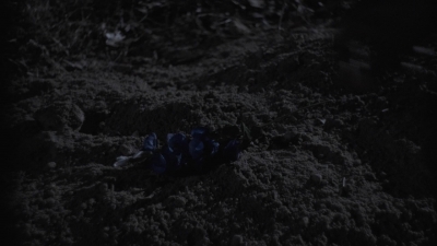 ftwd404_2381.jpg